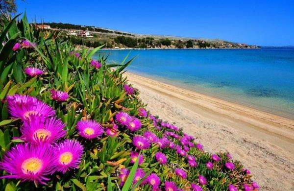 Little Heaven On Earth - Apartmani Martina Влашичі Екстер'єр фото